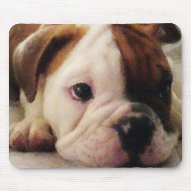 Bulldog puppy mouse pad (Front)