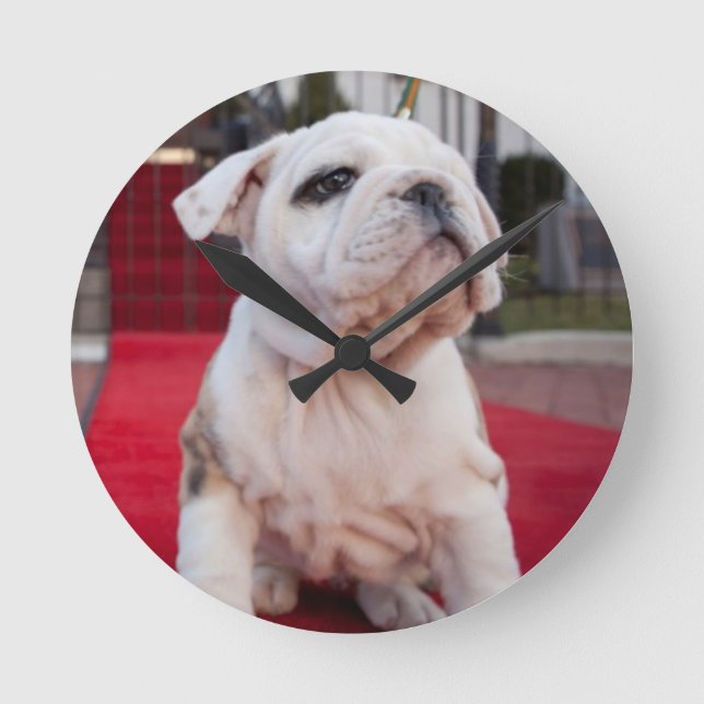 Bulldog Puppy Round Clock (Front)