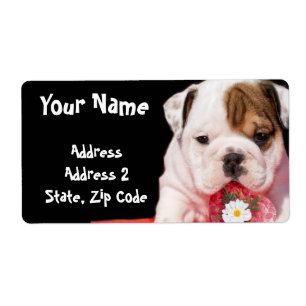 Bulldog puppy shipping Labels