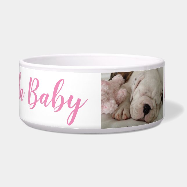 Bulldog Puppy Sleeping (Front)