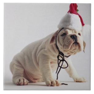 Bulldog Puppy Wearing Santa Hat Ceramic Tile