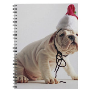 Bulldog Puppy Wearing Santa Hat Notebook