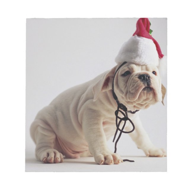 Bulldog Puppy Wearing Santa Hat Notepad (Front)