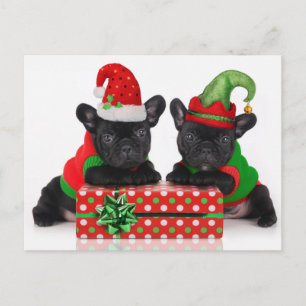 bulldog puppy with Christmas gift Holiday Postcard
