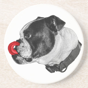 Bulldog Red Accent Coaster
