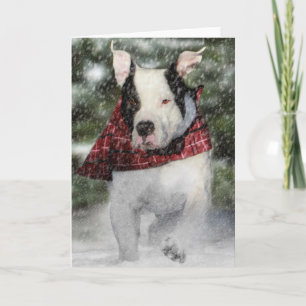 Bulldog Rescue Pup Dashing through the Snow Holiday Card