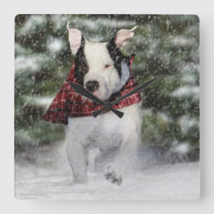 Bulldog Rescue Pup Dashing through the Snow Square Wall Clock