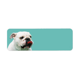 Bulldog Return Address Label