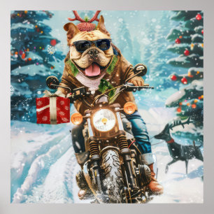 Bulldog Riding Motorcycle Christmas Poster