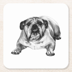 Bulldog shade of joy square paper coaster