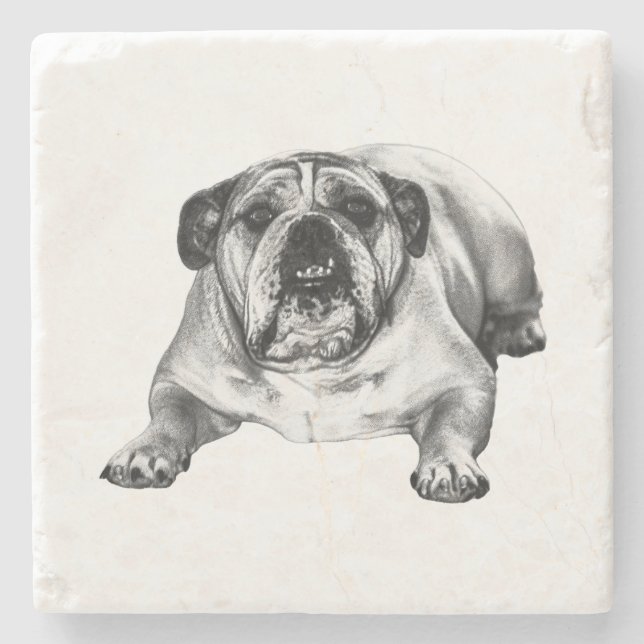 Bulldog shade of joy stone coaster (Front)