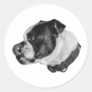 Bulldog Shaded Sticker