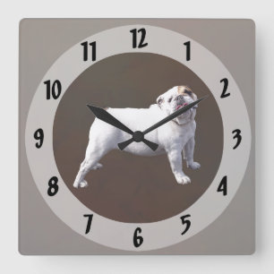 Bulldog Standing Tall Square Wall Clock