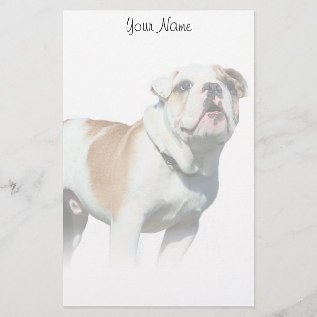 Bulldog stationary stationery (Front)