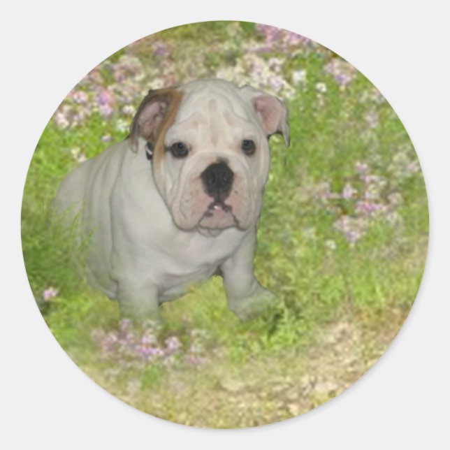 Bulldog Sticker (Front)