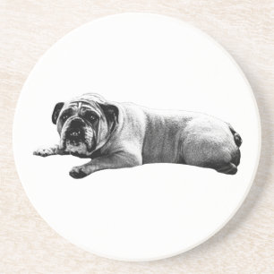 Bulldog Still Moments Coaster
