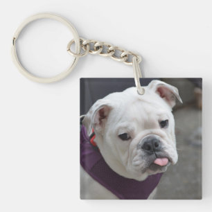 Bulldog Taunt Key Ring