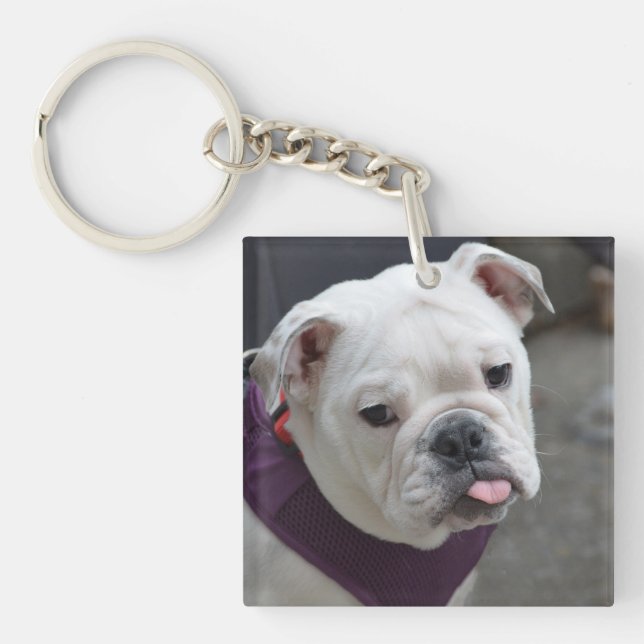 Bulldog Taunt Key Ring (Front)