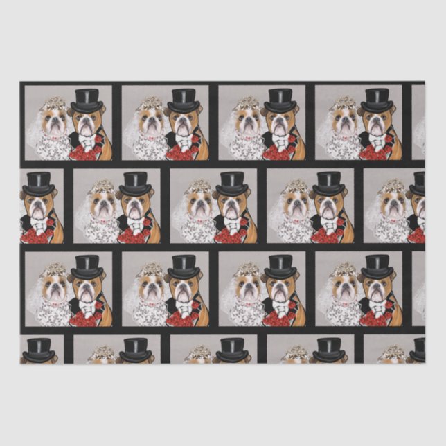 Bulldog     tissue paper (Front)