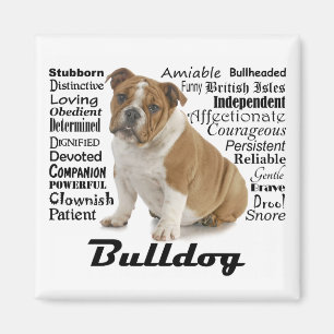 Bulldog Traits Magnet