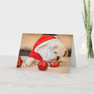 BULLDOG W/ CHRISTMAS BALLS Folded Greeting Card