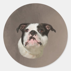 Bulldog Water Colour Art Painting Classic Round Sticker