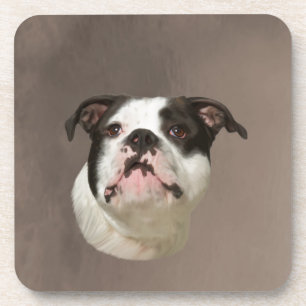 Bulldog Water Colour Art Painting Coaster