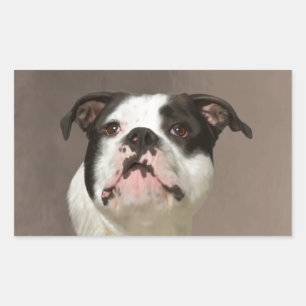 Bulldog Water Colour Art Painting Rectangular Sticker