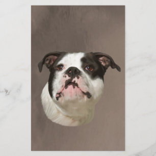 Bulldog Water Colour Art Painting Stationery