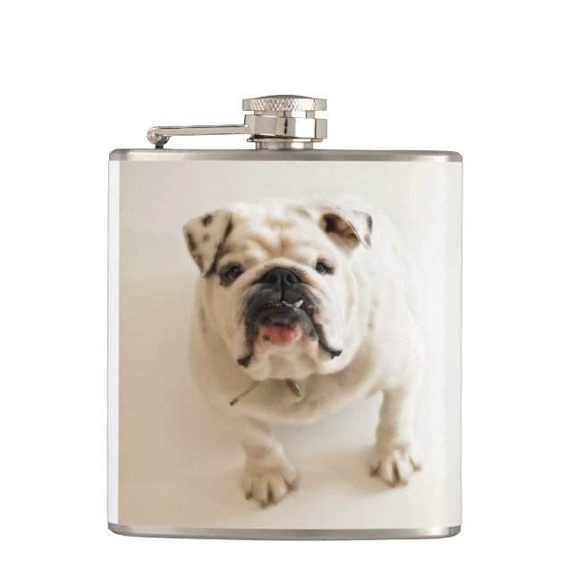 bulldog white hip flask (Front)