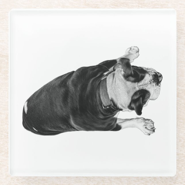 Bulldog with Cheerful Expression Glass Coaster (Front)