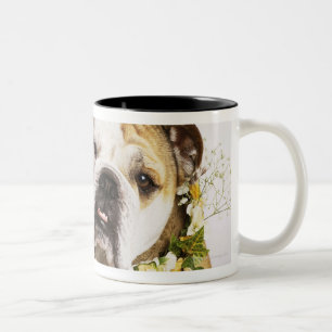 Bulldog with flower collar Two-Tone coffee mug
