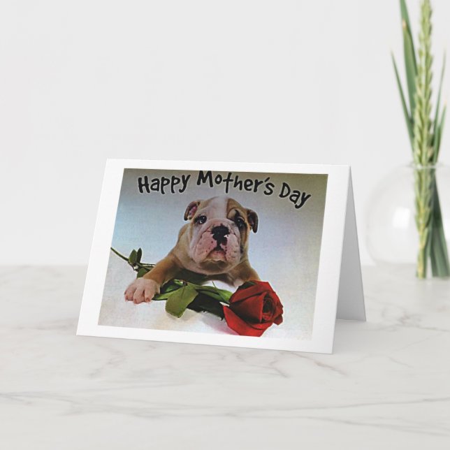 BULLDOG WITH ROSE IS FULL OF LOVE ON MOTHER'S DAY CARD (Front)