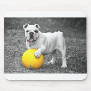 bulldog-with yellow ball mouse pad