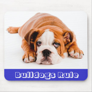 Bulldogs Rule!  English Bulldog Puppy Dog Mousepad
