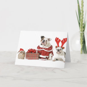 BULLDOGS WITH BUNNY CHRISTMAS CARD