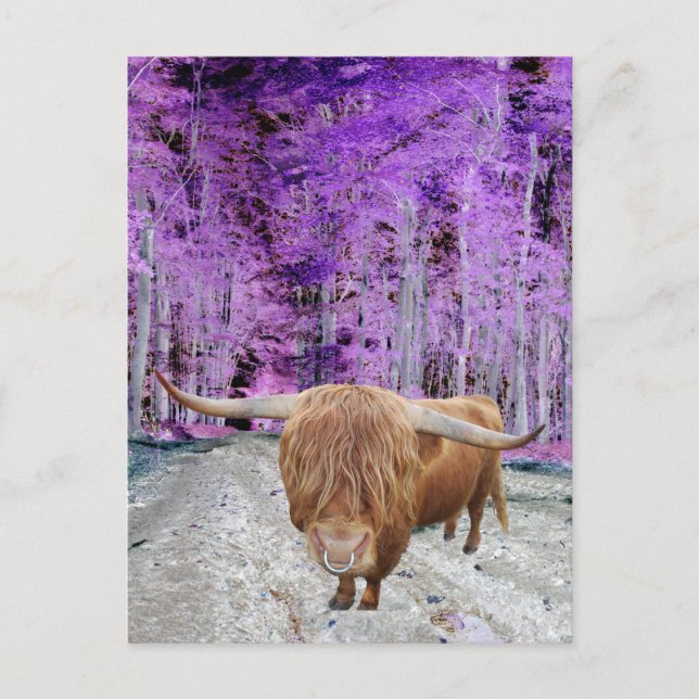 Bulle Postcard (Front)