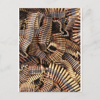 Bullets, ammunition postcard