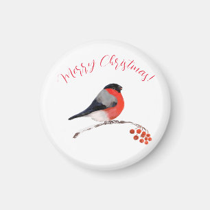Bullfinch and red berries, Merry christmas Magnet