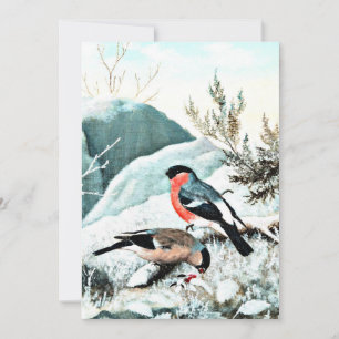 Bullfinches in the Snow Card