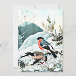 Bullfinches in Winter Landscape Card