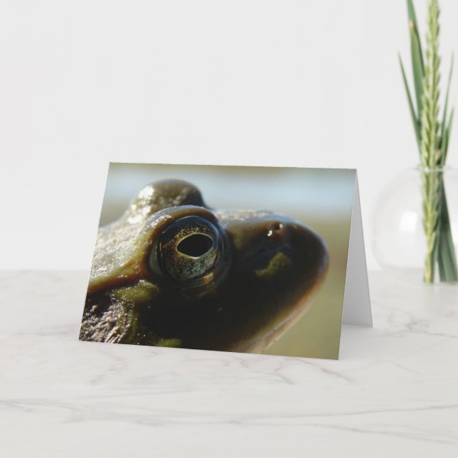 Bullfrog Card (Front)