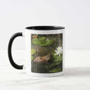 Bullfrog in Lily Pond Mug