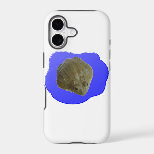 Bullfrog in Pond iPhone 5 Case
