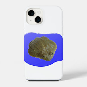 Bullfrog in Pond iPhone Case
