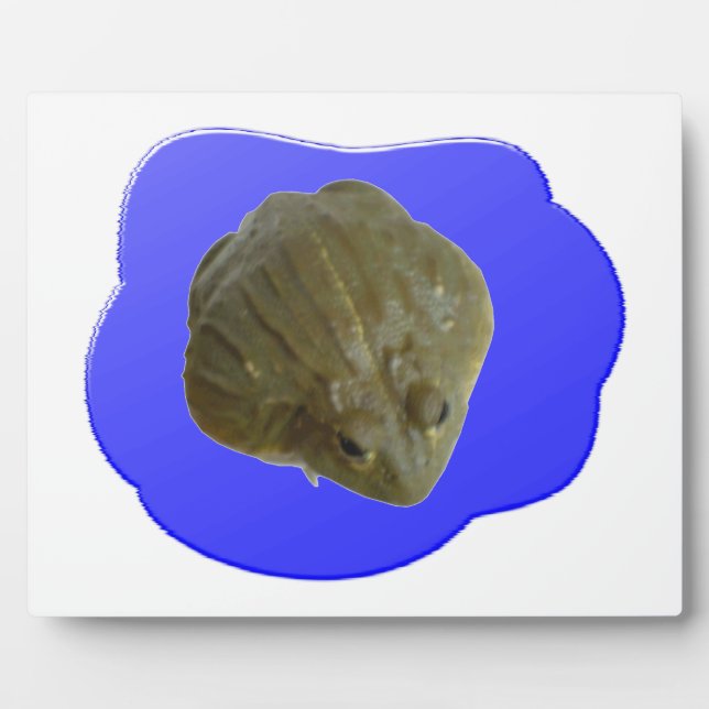 Bullfrog in Pond Plaque (Front)