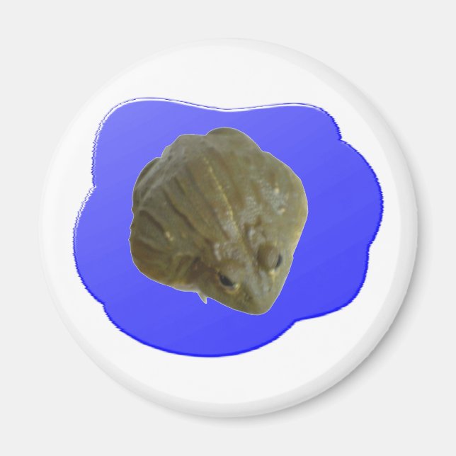 Bullfrog Magnet (Front)