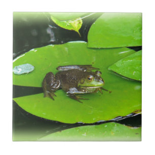 Bullfrog on Lilypads Tile