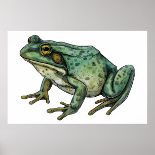 Bullfrog poster