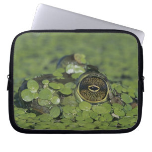 Bullfrog, Rana catesbeiana, adult in duckweed Laptop Sleeve